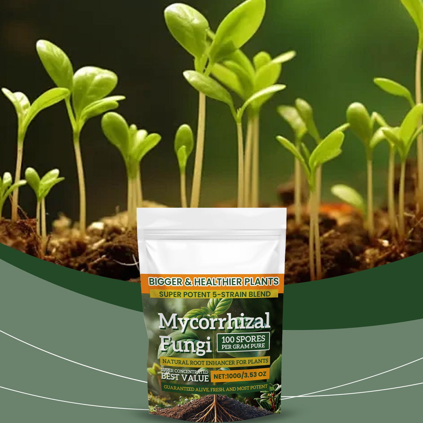 Roots Nutrition & Fitness Inglewood Photos - 100g de pó orgânico para fortalecimento