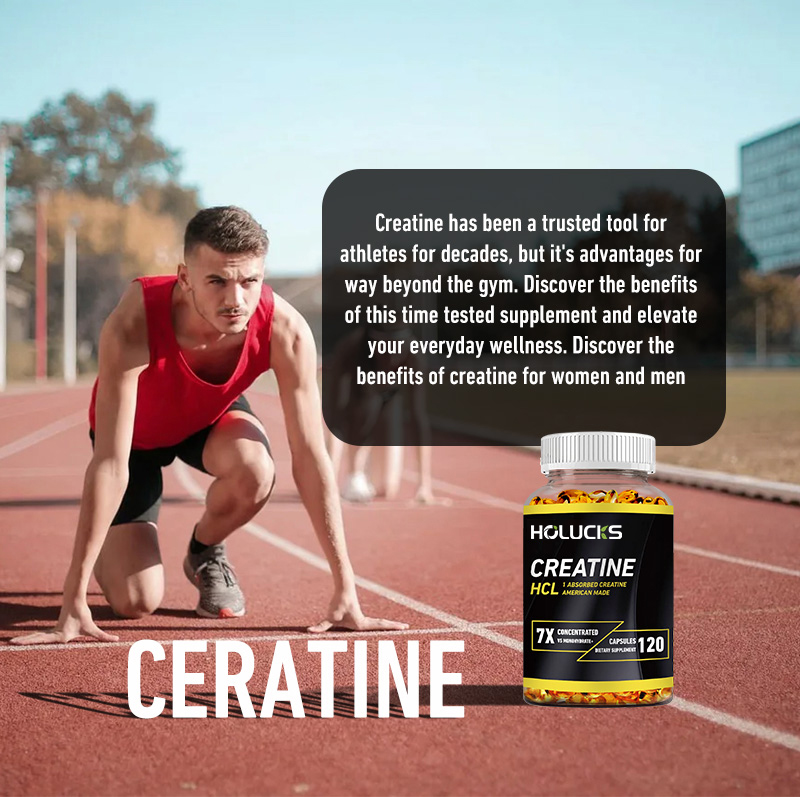 Cápsulas de Creatina HCL 750mg - Creatine Hcl Capsule avaliação e preço