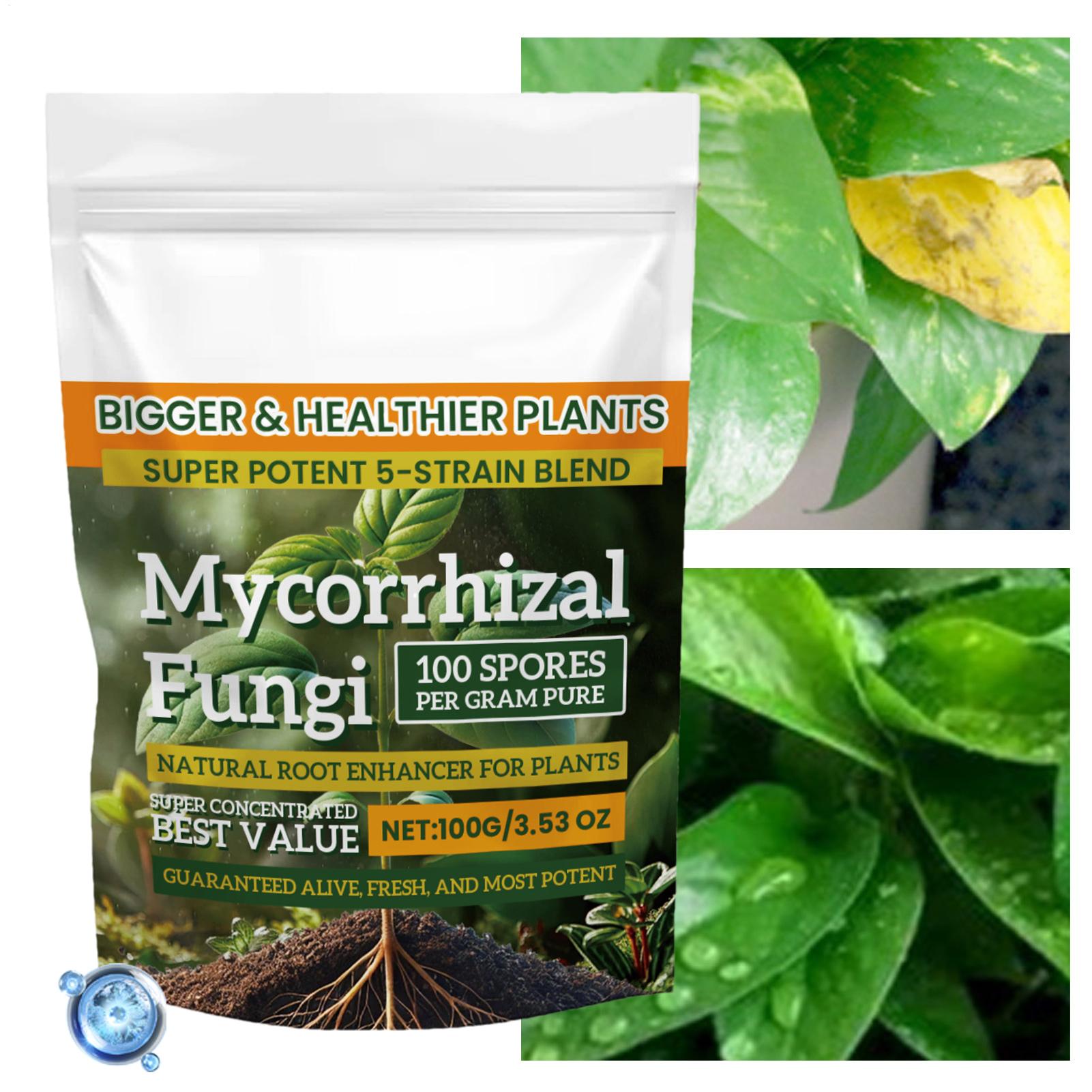 100g de pó orgânico para forta - Roots Nutrition & Fitness Inglewood Photos avaliação e preço